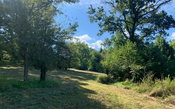 69 Hwy 64 W, Hayesville, NC 28904
